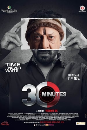 30 Minutes (2016) Movie | Dubbed Hindi Movie HDRip - [300MB]