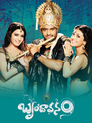 Brindavanam (The Super Khiladi) (2010) ( – Telugu) Dual Audio | Dubbed Hindi Movie UnCut HDRip 600MB