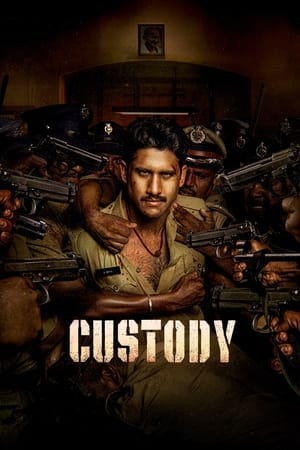 Custody 2023 (HQ-Dub) Dual Audio HDRip | Dubbed Hindi Movie – 480p