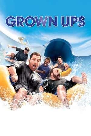Grown Ups (2010) Dual Audio | Dubbed Hindi Movie BluRay [800MB]