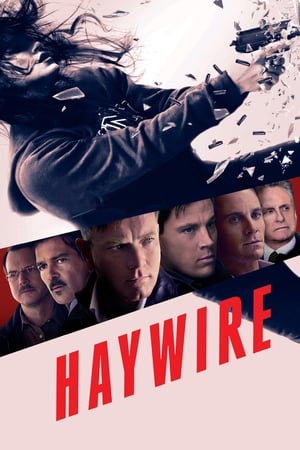 Haywire (2011) Dual Audio | Dubbed Hindi Movie BluRay 300MB