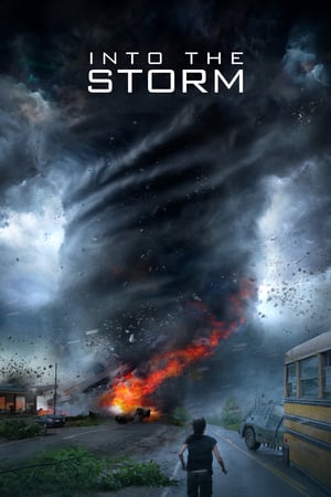 Into the Storm (2014) Dual Audio | Dubbed Hindi Movie BluRay 300MB
