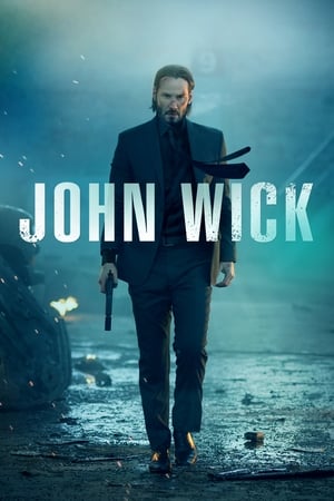 John Wick (2014) Dual Audio | Dubbed Hindi Movie BluRay 300MB ESubs
