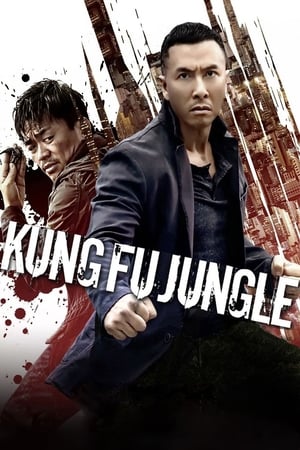 Kung Fu Jungle (2014) Dual Audio | Dubbed Hindi Movie BluRay [800MB]