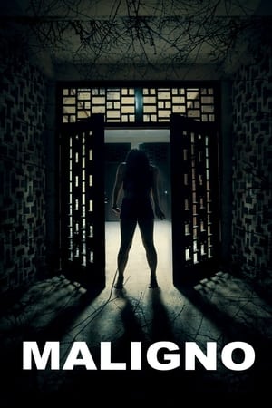 Maligno (2016) Dual Audio | Dubbed Hindi Movie Web-DL 300MB