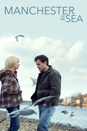Manchester by the Sea 2016 Dual Audio | Dubbed Hindi Movie BluRay [1.3GB]