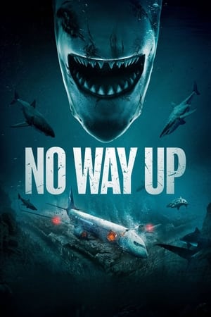 No Way Up (2024) Dual Audio HDRip | Dubbed Hindi Movie – 480p – 1080p