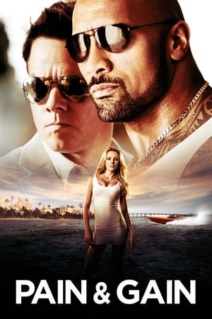 Pain & Gain 2013 HEvc | Dubbed Hindi Movie Dual Audio movie Bluray