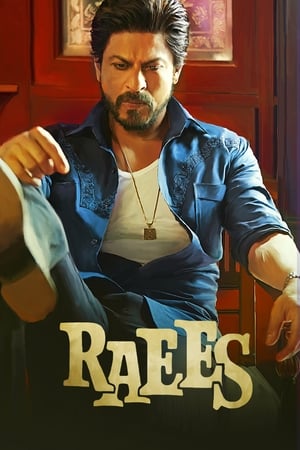 Raees 2017 Movie hevc | Dubbed Hindi Movie Download Bluray