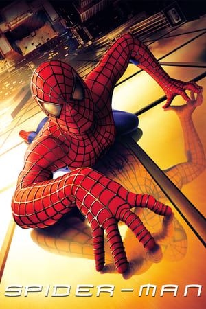 Spider-Man (2002) Dual Audio | Dubbed Hindi Movie BluRay [820MB]