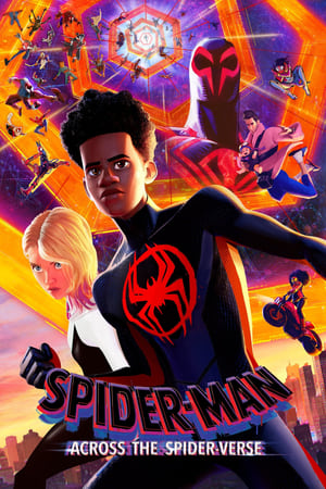 Spider-Man: Across the Spider-Verse 2023 (ORG) HDRip | Dubbed Hindi Movie | 480p