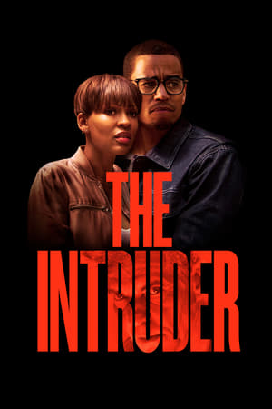 The Intruder (2019) Dual Audio | Dubbed Hindi Movie HDRip [1GB]